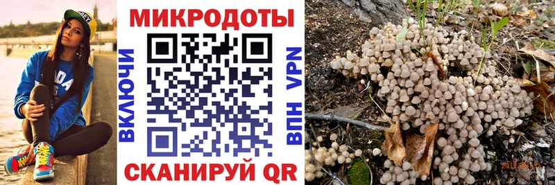 Купить где  Белёв  Псилоцибиновые грибы GOLDEN TEACHER 