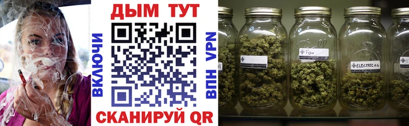 Каннабис планчик  Купить  Белёв 